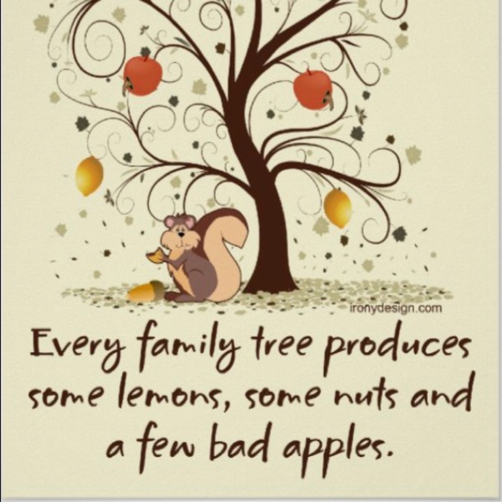 Meet your Posher, Miranda